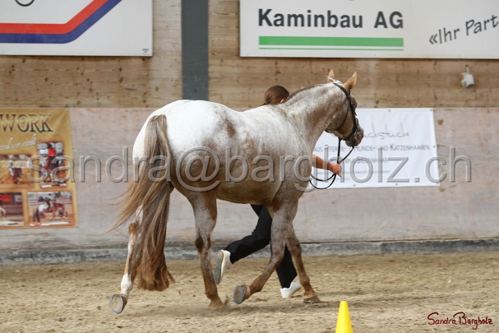 24-ApHC HIH_049.jpg
